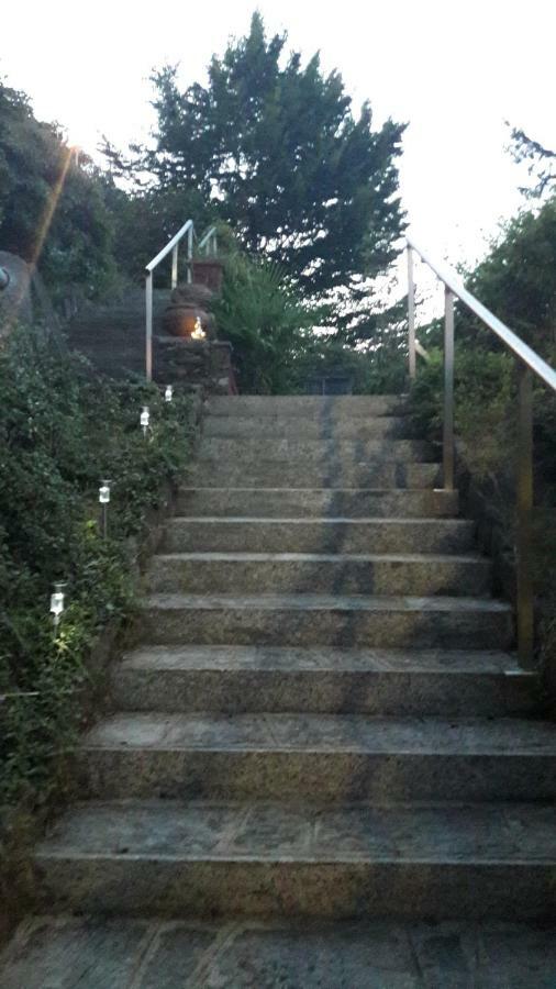 Villa La Serra バヴェーノ エクステリア 写真
